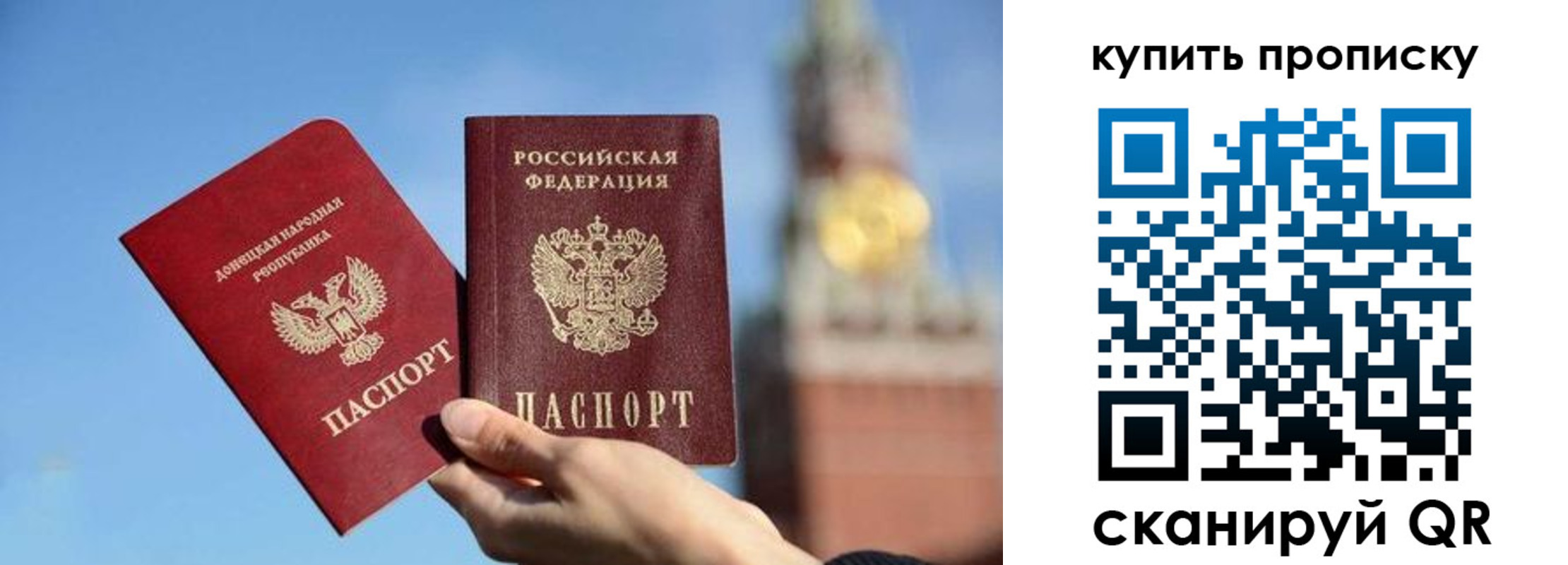 прописка иностранных граждан в Мурманской области